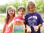 Three Campers on a Bug Hunt by Carrera Romanini