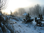 UT Gardens in Winter by Vi Pikoulas