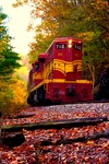 Fall Train Ride by Carson Elizabeth Lillard