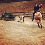 Practice Roping for UT Roping Team by Kimberly Leann Cardwell