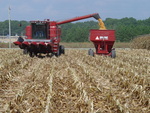 Corn Harvest by Robert M. Hayes