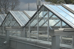 High-tech UTIA Greenhouse by Lori Denise Osburn