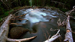 Wilderness Creek by Graham John Hickling