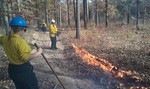 Students learn about prescribed fire for forest management by Jennifer Franklin