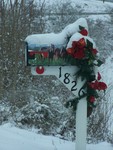Mail box at Mountain Meadow Horse Farm by Cheryl Greenacre