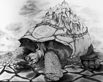 Desert Tortoise by Brady Mastellone